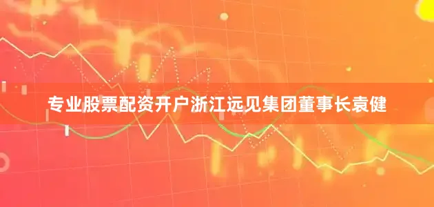 专业股票配资开户浙江远见集团董事长袁健