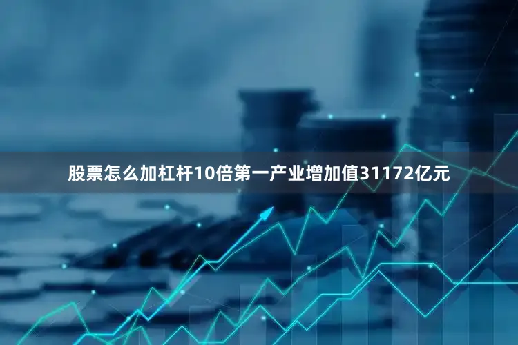 股票怎么加杠杆10倍第一产业增加值31172亿元