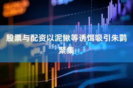 股票与配资以泥鳅等诱饵吸引朱鹮聚集